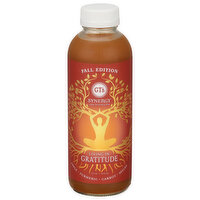 GT's Kombucha, Raw, Living in Gratitude - 16 Fluid ounce 