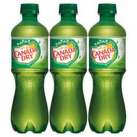 Canada Dry Ginger Ale - 16.9 Ounce 
