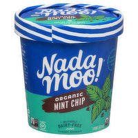 Nada Moo! Frozen Dessert, Organic, Mint Chip - 1 Pint 