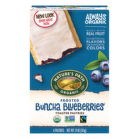 Nature's Path Organic Toaster Pastries, Buncha Blueberries, Frosted - 6 Each 