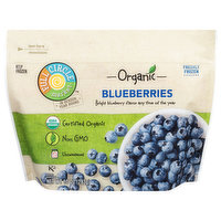 Full Circle Market Blueberries, Unsweetened