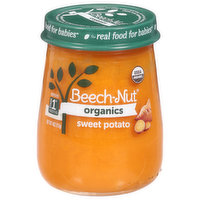 Beech-Nut Sweet Potato, Stage 1 (4 Months+) - 4 Ounce 