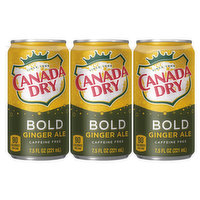 Canada Dry Soda, Ginger Ale, Bold - 6 Each 