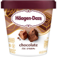 Haagen-Dazs Ice Cream, Chocolate - 14 Fluid ounce 