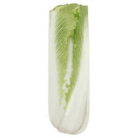 Produce Cabbage, Celery - 1 Each 