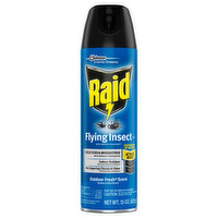 Raid Flying Insect Killer, Outdoor Fresh Scent - 15 Ounce 