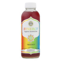 GT's Kombucha, Raw, Trilogy - 16 Fluid ounce