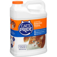Cat's Pride Scented Baking Soda Clumping Litter - 10 Pound 