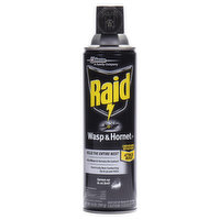 Raid Wasp & Hornet Killer 33 - 14 Ounce 