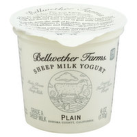 Bellwether Farms Yogurt, Sheep Milk, Plain - 6 Ounce 
