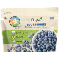 Full Circle Market Blueberries, Unsweetened - 10 Ounce 