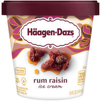 Haagen Dazs Rum Raisin Ice Cream