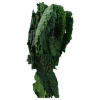 Fresh Kale, Lacinato - 1 Each 