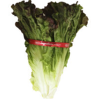 Produce Lettuce, Red Leaf - 1 Each 