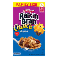Raisin Bran Cereal, Original, Family Size - 22.5 Ounce 