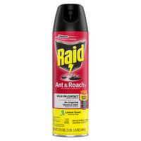Raid Ant & Roach Killer 26, Lemon Scent - 17.5 Ounce