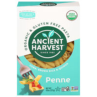 Ancient Harvest Penne - 9.6 Ounce 