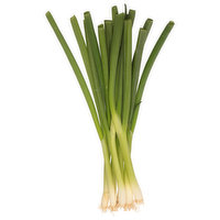 Fresh Green Onions, Organic - 1 Each