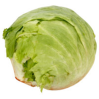 Syndigo Iceberg Lettuce, Organic - 1 Each 