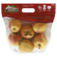 Chelan Fresh Apples, Organic, Gala - 32 Ounce 