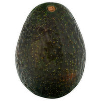 Fresh Avocado, Hass