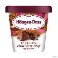 Haagen-Dazs Ice Cream, Chocolate Chocolate Chip