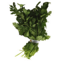 Fresh Cilantro, Organic