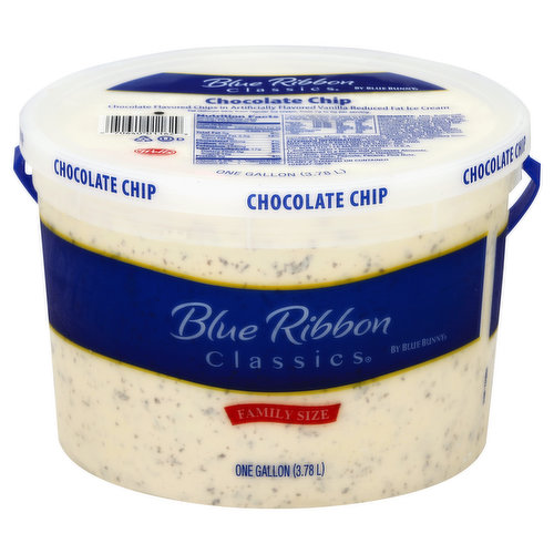 Blue Ribbon Classics Frozen Dairy Dessert, Chocolate Chip, Friends + Family Size