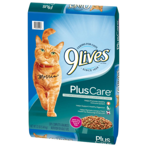 Hi life hot sale cat food morrisons