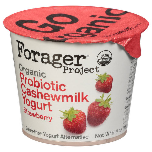 Kids Organic Superfood Drink Mix Powder with Protein & Probiotics -  Strawberry (15 Servings)