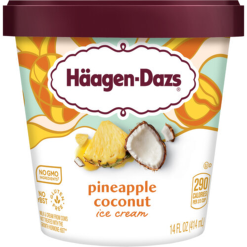 Haagen-Dazs Ice Cream, Pineapple Coconut