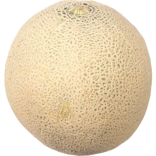 Fresh Cantaloupe