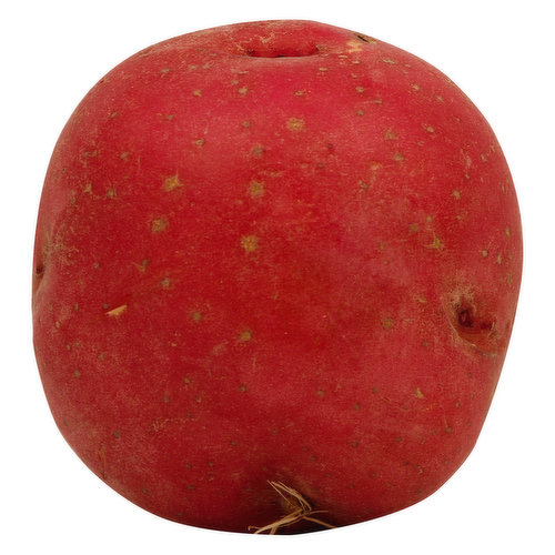 Fresh Potato, Red