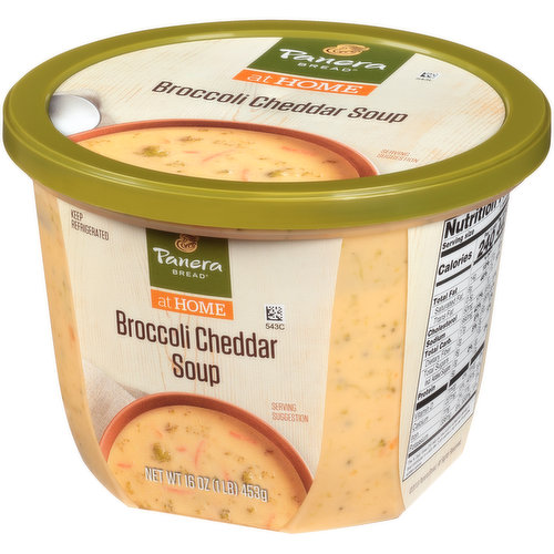 Panera Bread Broccoli Cheddar Soup, 16 OZ Soup Cup, Search