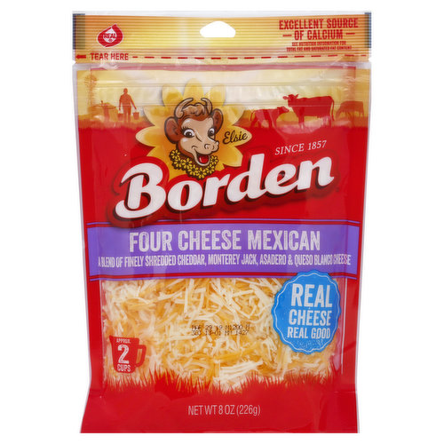 Borden Cheese, Four Cheese Mexican