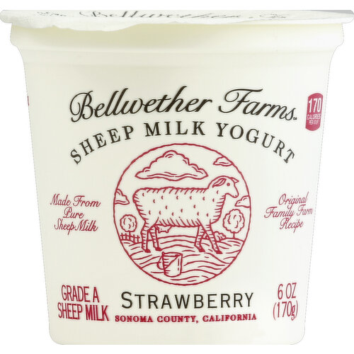 Bellwether Farms Yogurt, Sheep Milk, Strawberry