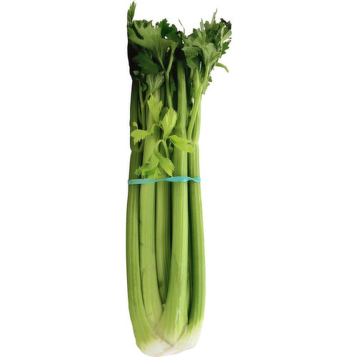 Syndigo Celery