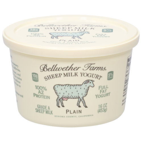 Bellwether Farms Yogurt, Full Fat, Plain, Sheep Milk