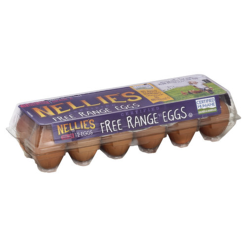 Nellie's Eggs, Free Range, Brown, Extra Large