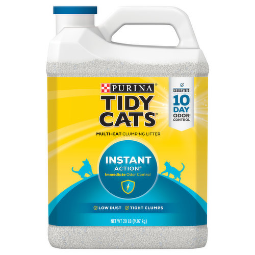 Essential Everyday Clumping Cat Litter, Multi Cat, Lightweight, Scoopable,  Unscented 10 Lb