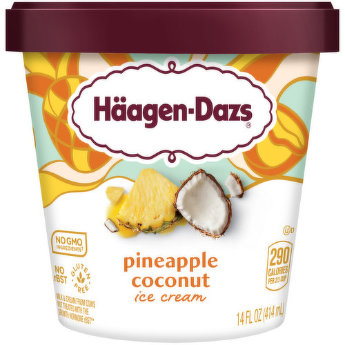 Haagen-Dazs Ice Cream, Pineapple Coconut