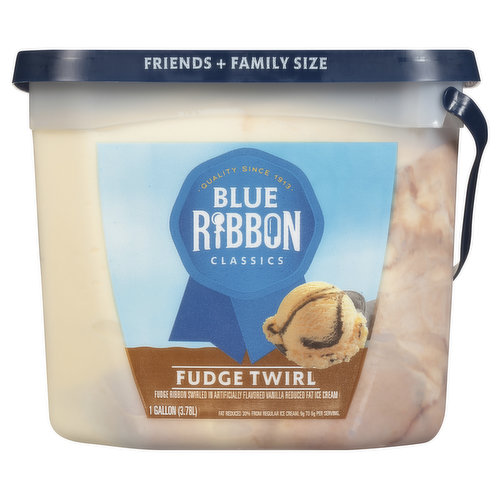 Blue Ribbon Classics Ice Cream, Reduced Fat, Fudge Twirl, Friends + Family Size