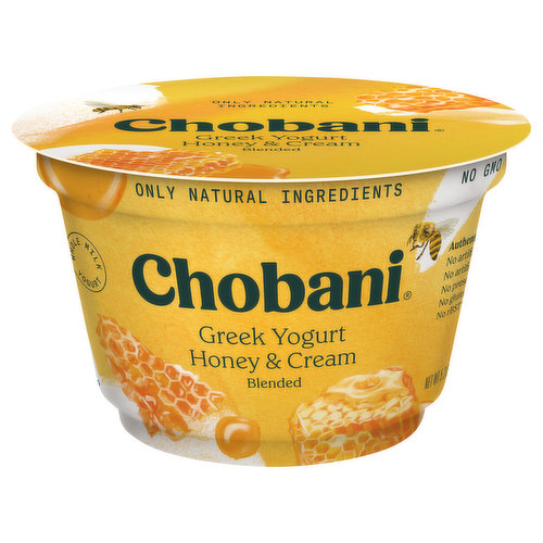 Chobani Yogurt, Greek, Low Fat, Coconut, Blended 5.3 Oz