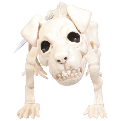 Crazy Bonez Puppy Bonez