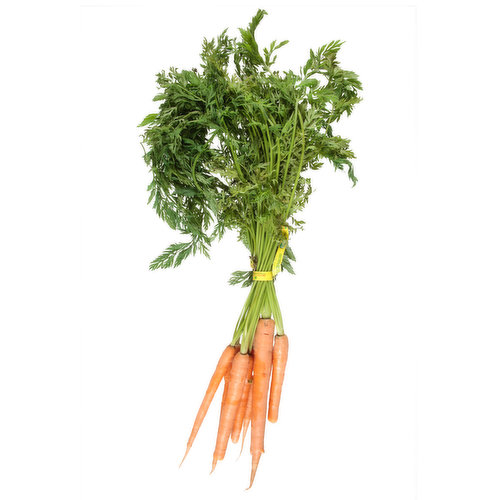 Fresh Carrot, Organic