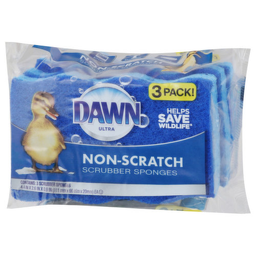 Basics Non-Scratch Sponges, 6-Pack