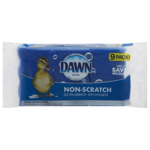 Basics Non-Scratch Sponges, 6-Pack