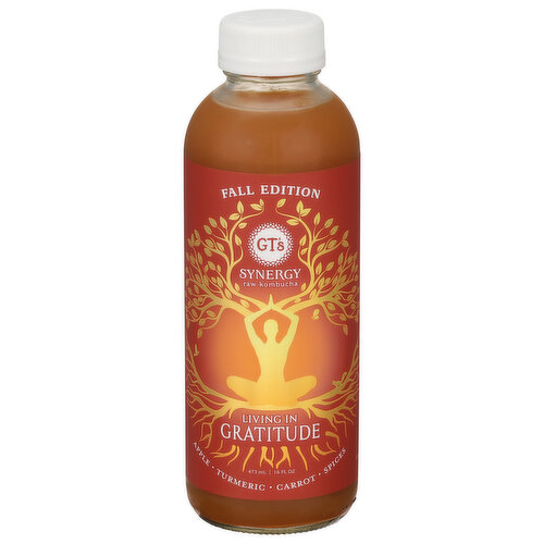 GT's Kombucha, Raw, Living in Gratitude