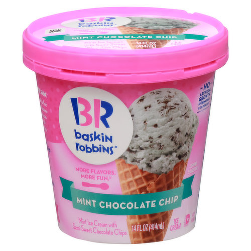 Mint ice cream with semi-sweet chocolate chips. More flavors. More fun. Since Baskin-Robbins opened its first ice cream shop in 1945, it has become an American favorite. Now, you can enjoy the fun and great flavors of Baskin-Robbins at home anytime. Mint Chocolate Chip: Chill out this creamy mint ice cream mixed with rich semi-sweet chocolate chips. Cool and sweet - that's the ticket!