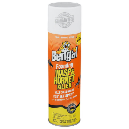 Bengal Wasp & Hornet Killer, Foaming